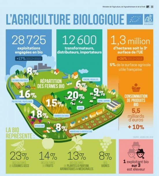 1,3 Million D'hectares En Agriculture Bio En France - Entraid