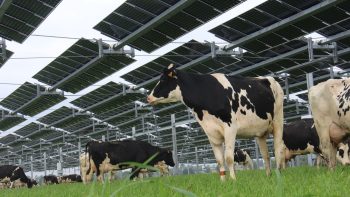 Agrivoltaïsme : définition et intérêt pour les agriculteurs