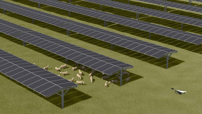 parc-agrivoltaïque-panneaux-solaires
