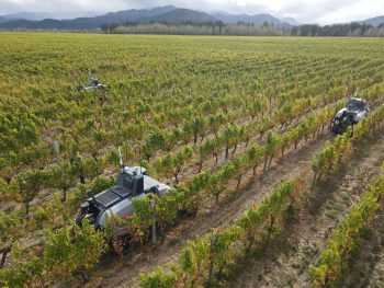 La flotte de robots Oxin : une révolution dans la gestion des vignobles ?