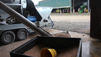 « Trier des grains demande de s’enrichir d’expériences »