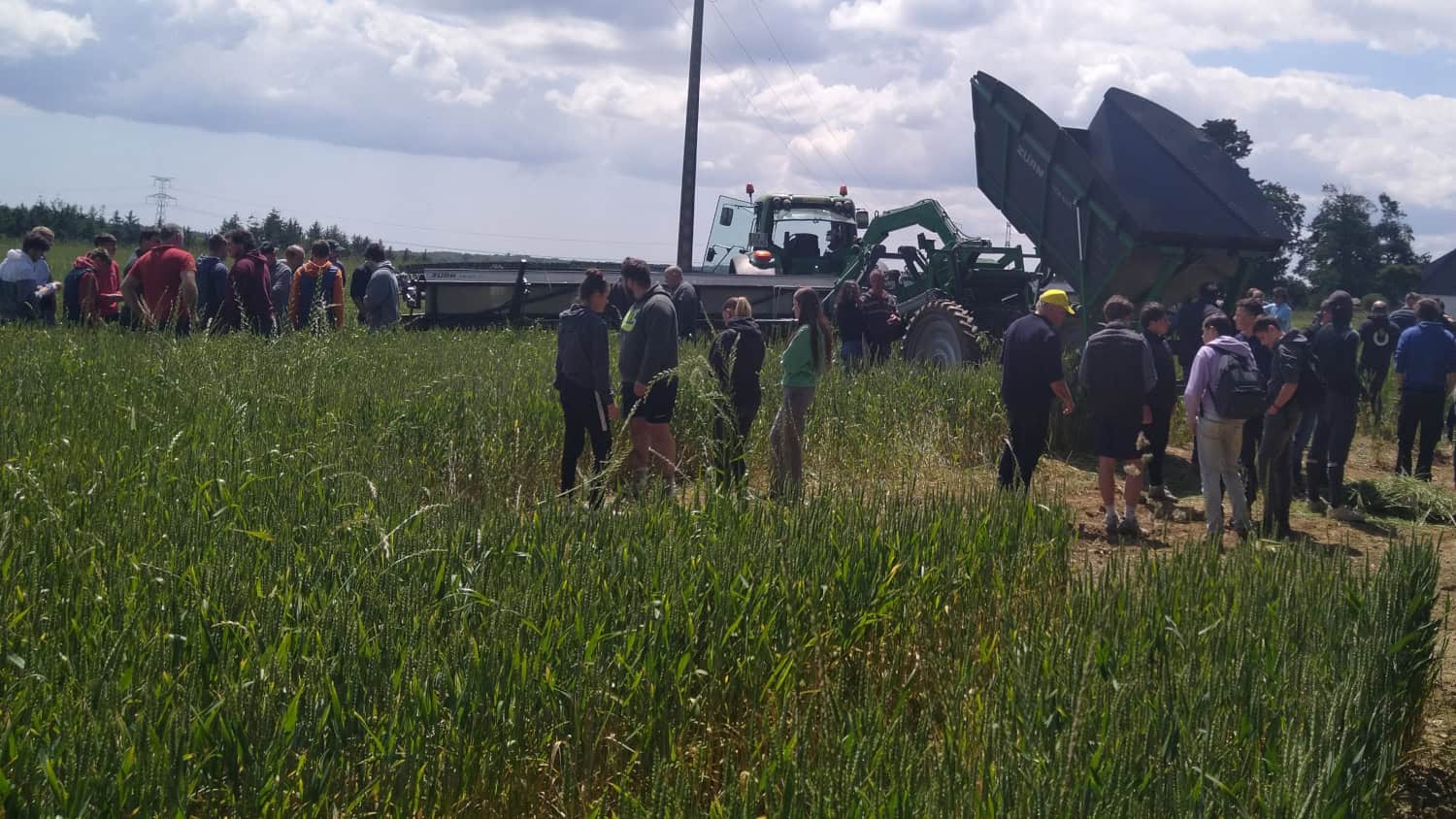 Démonstration de lutte contre les raygrass résistants écimeuse-récolteuse