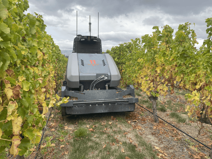 Oxin Robotique agricole viticulture Tonte