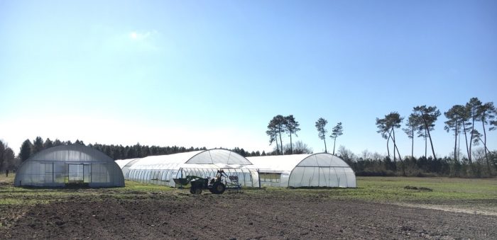 installation maraîchage dans les Landes