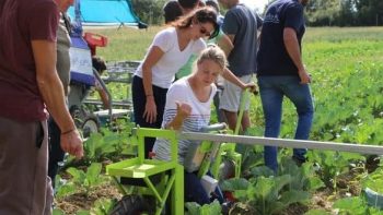 Maraîchage dans les Landes : un espace test pour les futurs installés