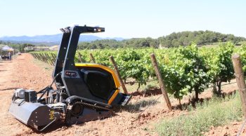 Pellenc : le robot RX 20 au travail dans les vignes