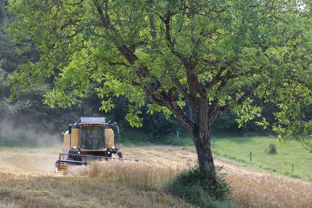 Des parcelles avec une surface moyenne de 2 ha ne permettent pas des débits de chantiers au-dessus de 1 ha / h.