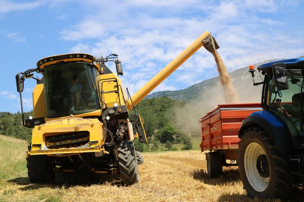 Une largeur réduite pour la moissonneuse-batteuse de la cuma de la Quintoune dans la Drôme