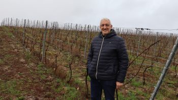 Des grandes cultures aux vignes: un sacré défi !