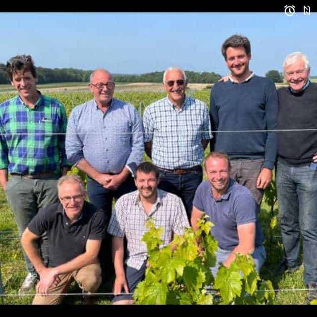 nouvelle production vignes