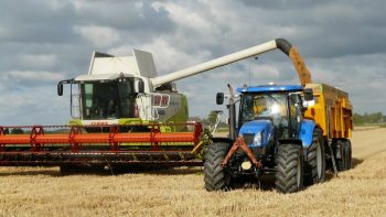 Requalification des activités agricoles : les pièges à éviter