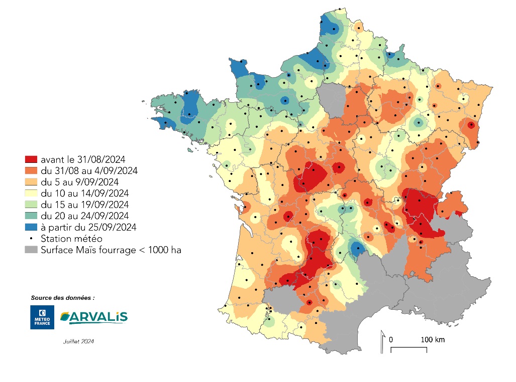 Carte de prévision des dates d'ensilage du maïs en 2024