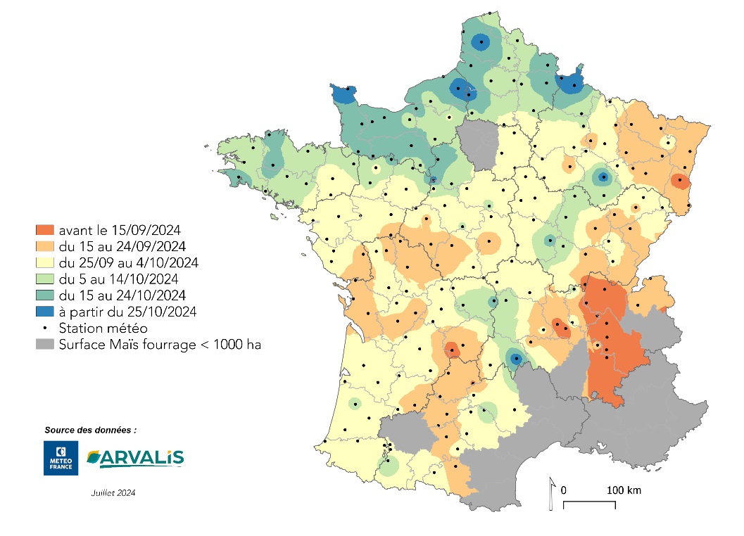 Carte de prévision des dates d'ensilage tardif du maïs en 2024