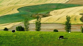 Une conjoncture agricole inconstante