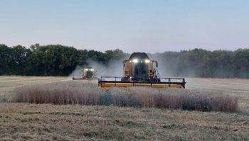 Deux moissonneuses pour 1400 ha à la cuma de Malibeau