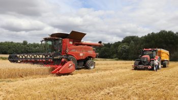 La moisson 2024 décevante dans les zones à fort potentiel