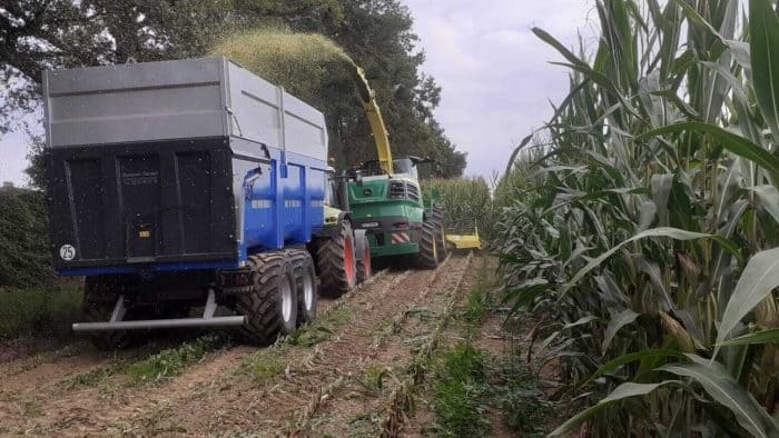 Ensilage du maïs 2023John Deere 8300