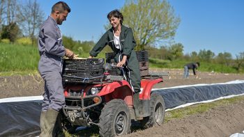 Réglementation encadrant les usages agricoles des quads et SSV