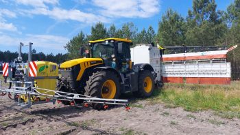 Désherbage dernier cri pour les carottes