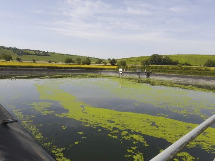 La station de traitement des effluents de la cuma la Colette.