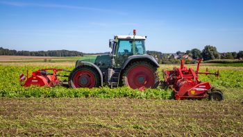 Défanage des pommes de terre, quelles alternatives à la chimie ?