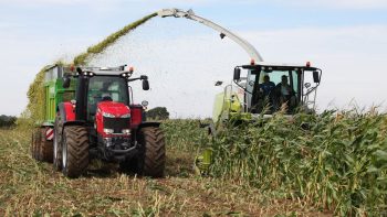 Ensilage 2024 : en direct des chantiers de récolte