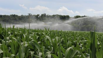 De l’eau au compte-goutte