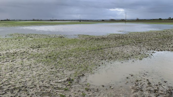 champ inondé