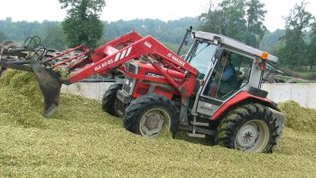 Mauvais ensilage = surcoût !