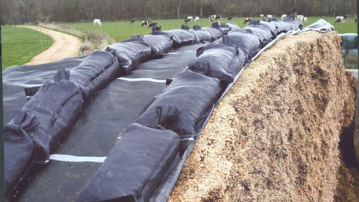 mauvais ensilage qualité fourrage