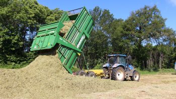 Coût de l’ensilage : le match ensileuse vs remorque autochargeuse 