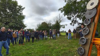 Des copeaux de bois pour ne pas rester sur la paille