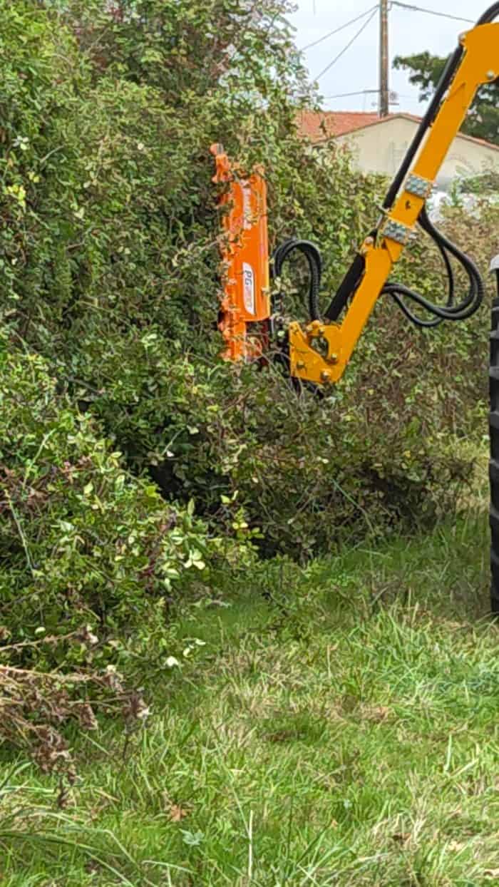 valorisation des haies bocagères