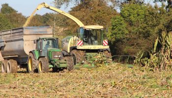 Saison d’ensilage très difficile après la tempête