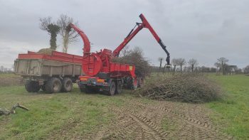 Le renouvellement de la déchiqueteuse au cœur d’une filière en plein essor