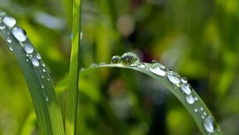 L’eau, alliée ou ennemie des agriculteurs français ?