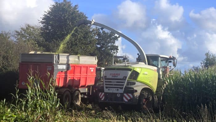 Détourage du champ à l'ensilage