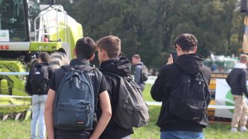 Des élèves par centaines au champ