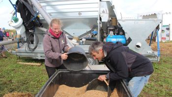 Face au trieur les grains sont parfois difficiles