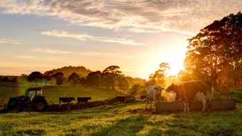 « En agriculture, peut-on encore être seul et indépendant ? »