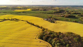 Vendre ses terres sans jamais les perdre et redevenir locataire