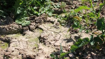 Eau : comment atténuer la sécheresse ?