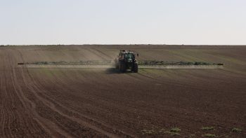 Mise au point sur les herbicides sur céréales