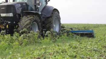 Préparation du lit de semences : s’adapter aux conditions pédoclimatiques