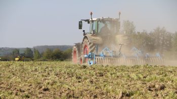 Agroécologie : quand éleveurs et céréaliers unissent leurs forces en Sologne