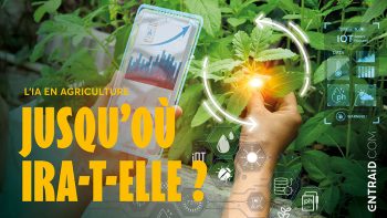 L’intelligence artificielle dans l’agriculture : opportunité ou illusion ?