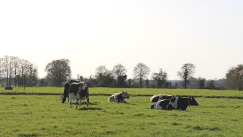 Carbone agricole : un marché libre avec des primes à la clé